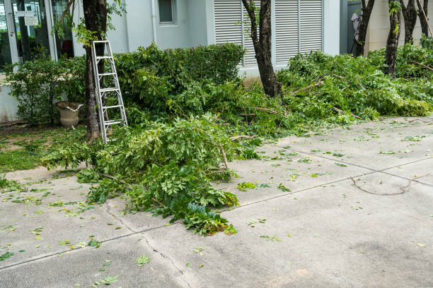 Best Seasonal Cleanup (Spring/Fall)  in Central City, IL